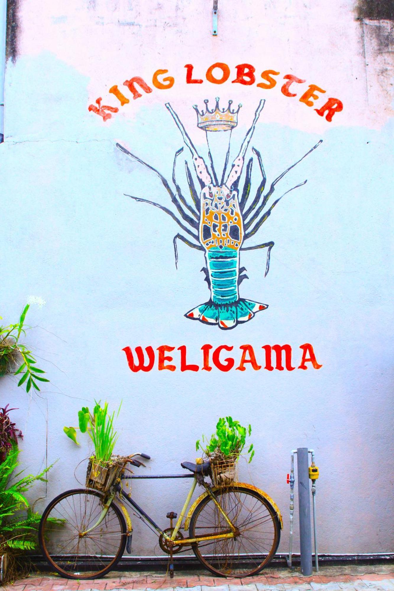 King Lobster Summer House Weligama Exterior foto